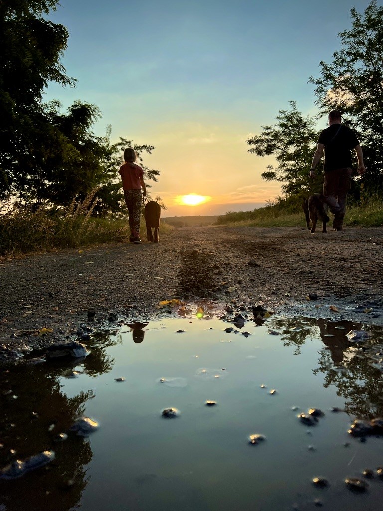 The Team Metal Jacket family walking their dogs at sunset
