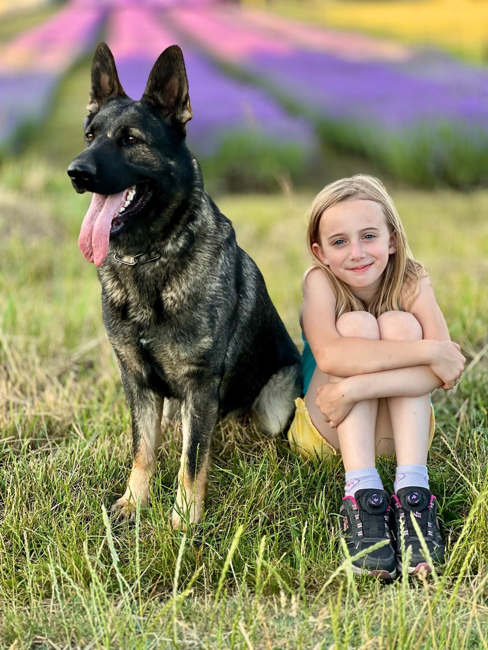Sunny and Gréta together in the lavender field